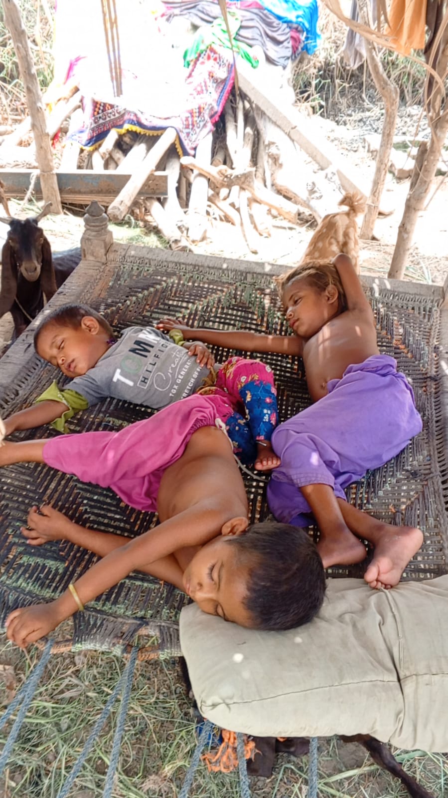 Medical & Community Outreach — Pakistan — 6
